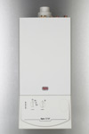 Alpha CD 13 R